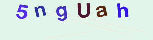 captcha img